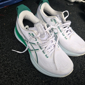 아식스 젤카야노32 255mm