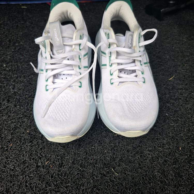 아식스 젤카야노32 255mm--2