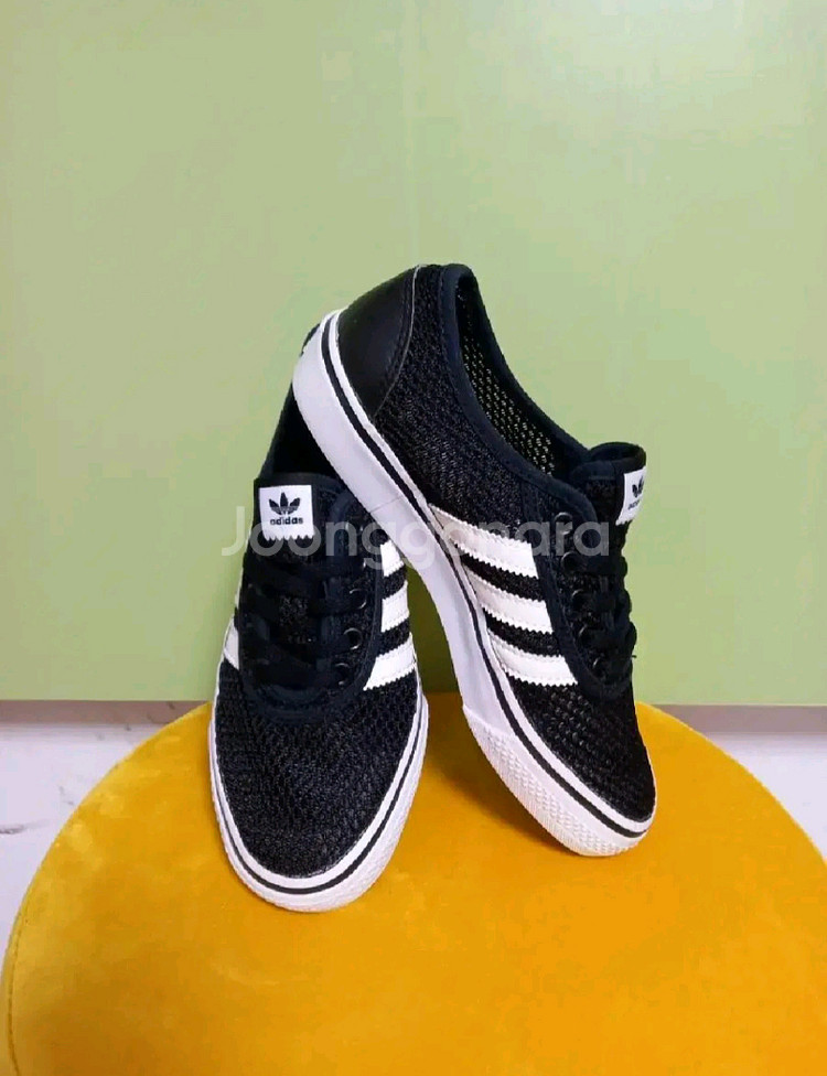 여성 아디다스 아디이지 클라이마 운동화 (240)--1