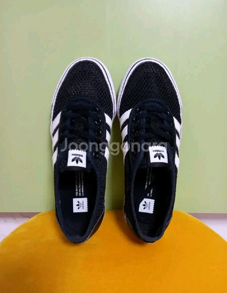 여성 아디다스 아디이지 클라이마 운동화 (240)--6