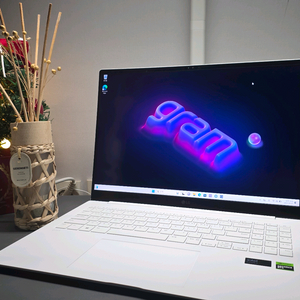 (초고사양)LG그램프로16인치RTX3050RAM32GB