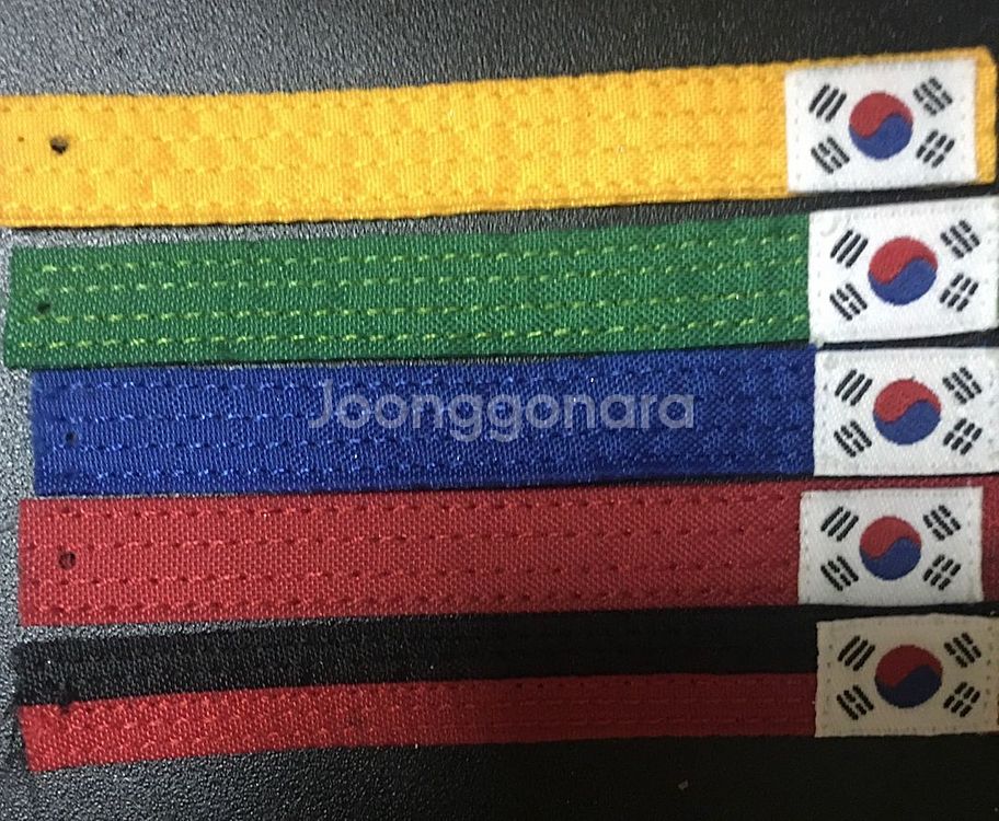 아이유 포토카드 T1 티원 우승배지 태권도뱃지--5