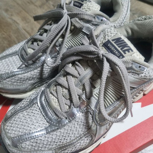 줌보메로5 포톤더스트