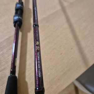 다이와 쿄쿠에이 타코이카 ex 극예 165mh