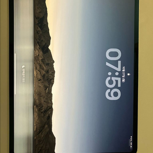 아이패드 M4 13인치 2TB 셀룰러 나노텍스쳐 실버