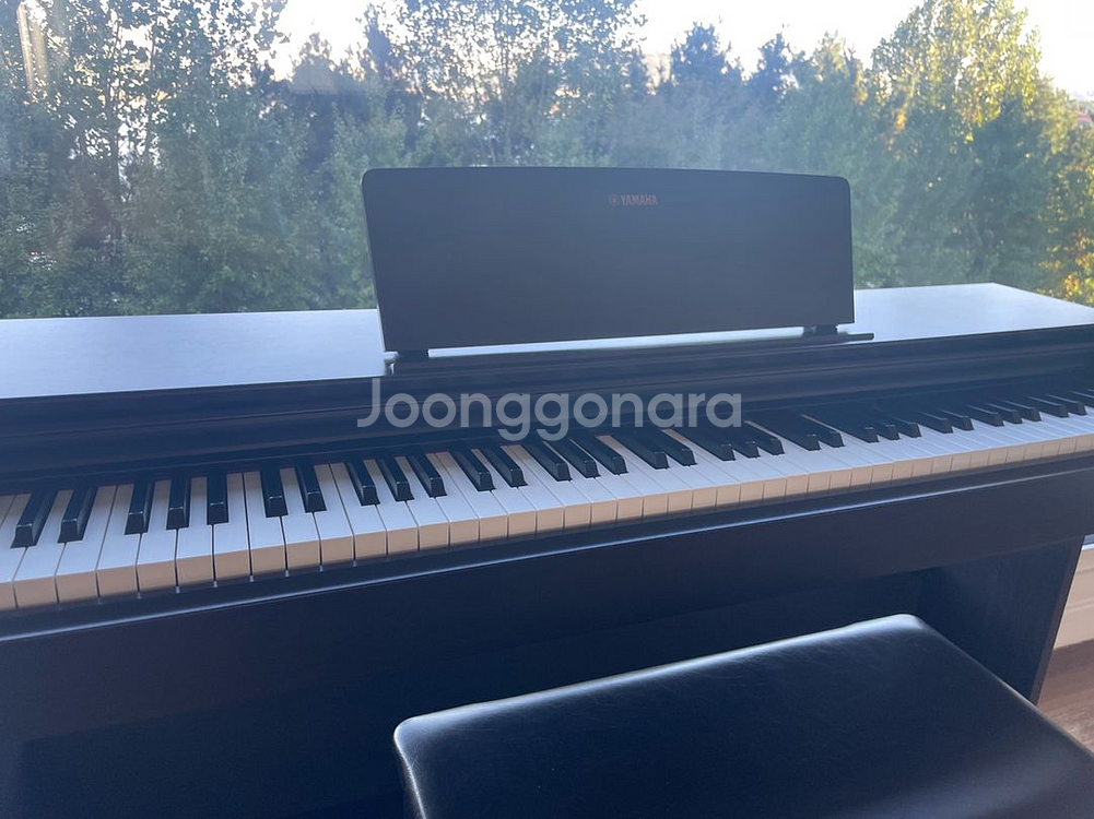야마하 ARIUS YDP-103 디지털 피아노--0