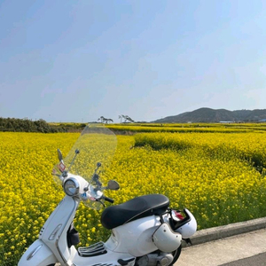 베스파 프리마베라 125cc 스쿠터