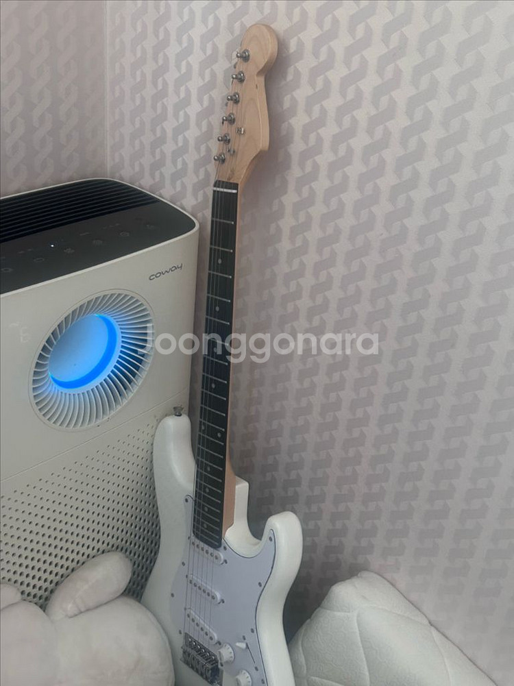 노브랜드 일렉기타 스트라토캐스터--0