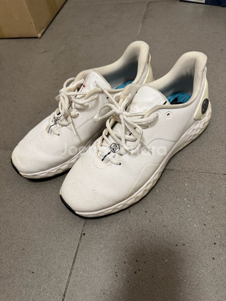 [8.5] 지포어 MG4+ 골프화--0