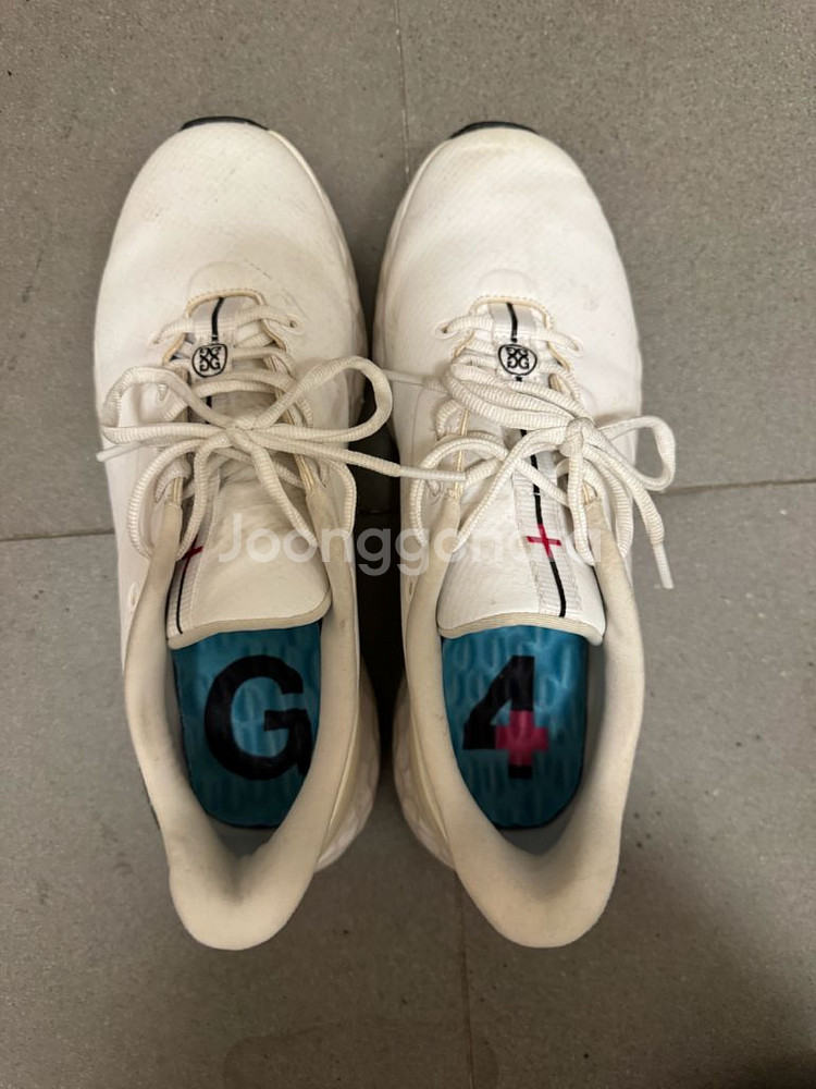 [8.5] 지포어 MG4+ 골프화--2