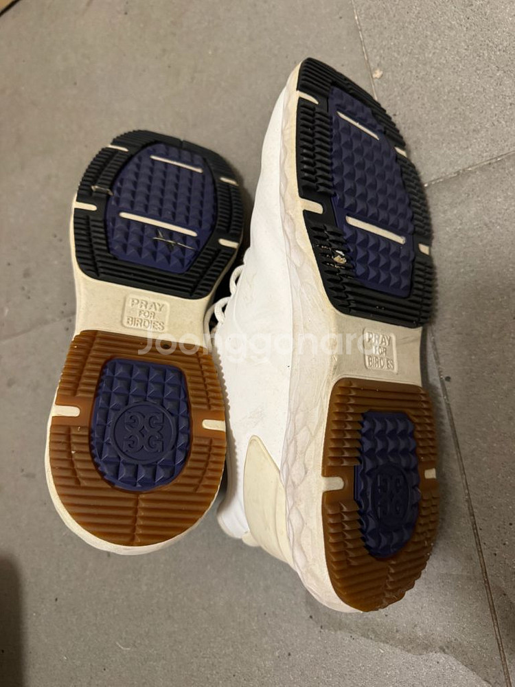 [8.5] 지포어 MG4+ 골프화--3