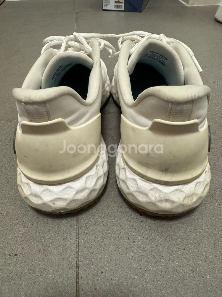 [8.5] 지포어 MG4+ 골프화--1