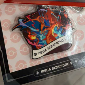 메가리자몽Y 키링