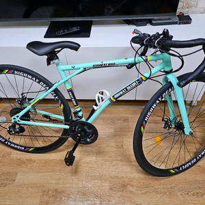 HIGHWAY DEADFLY 민트 로드 자전거