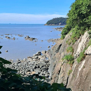 피모귀거 해드립니다 5조 억당 1.5원 이미지