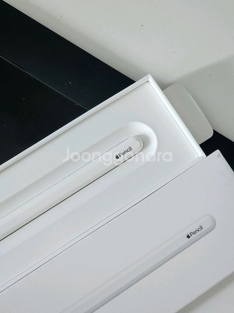 애플펜슬 2세대--0