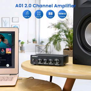 AIYIMA A01 인티앰프