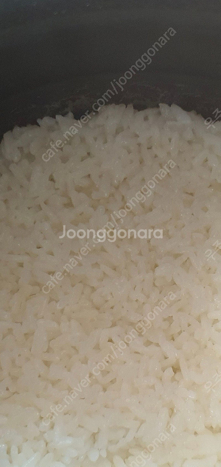 쿠쿠10인용 압력밥솥--1