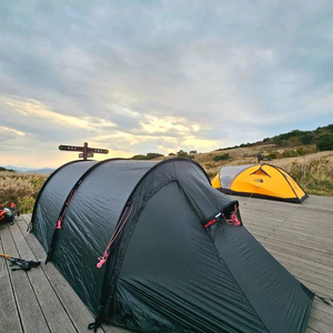 힐레베르그 케론3 판매