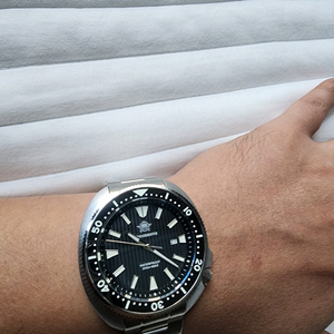 터틀세이코, 아디다이브,그랜드세이코,다이버시계,해밀턴