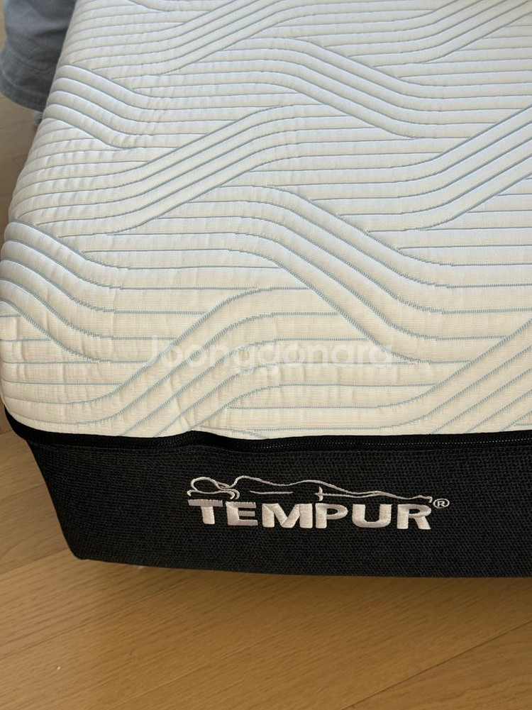 템퍼 프로 플러스 미디움 매트리스 (퀸)--1