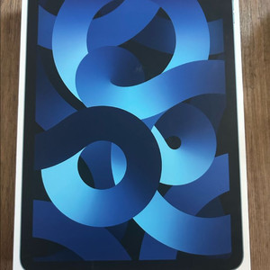 *급처* 아이패드에어5 와이파이 256GB 블루색상