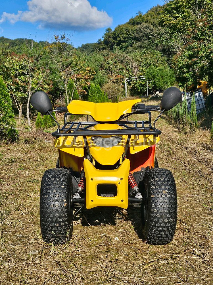 대림 올코트100 ATV 사발이 상태 A급 팝니다--0