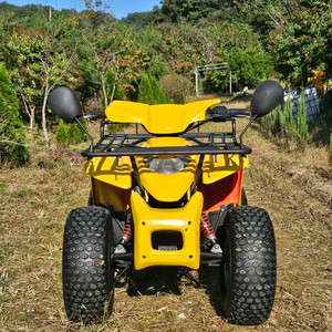 대림 올코트100 ATV 사발이 상태 A급 팝니다