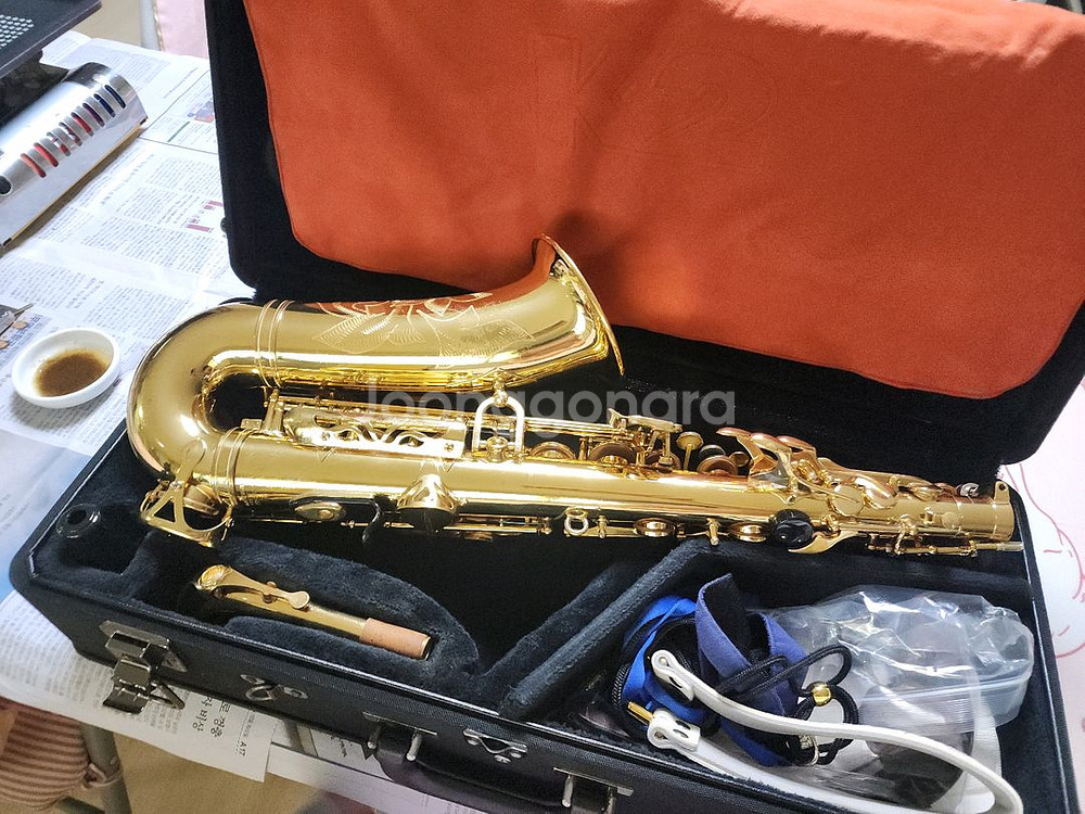 알토 색소폰--6