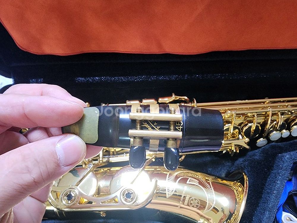 알토 색소폰--5