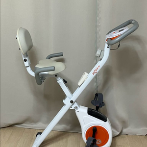 숀리 엑스바이크