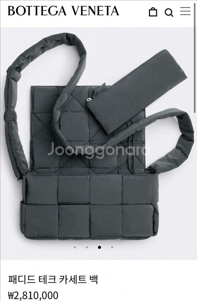 보테가 베네타 패디드 테크 / 패딩 카세트 백--0
