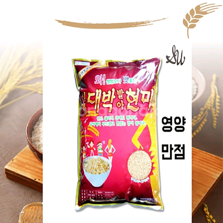 신통대박발아현미 5kg 25년 현미--0