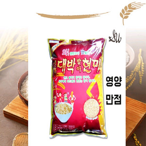 신통대박발아현미 5kg 25년 현미