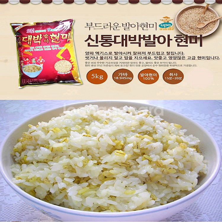 신통대박발아현미 5kg 25년 현미--2