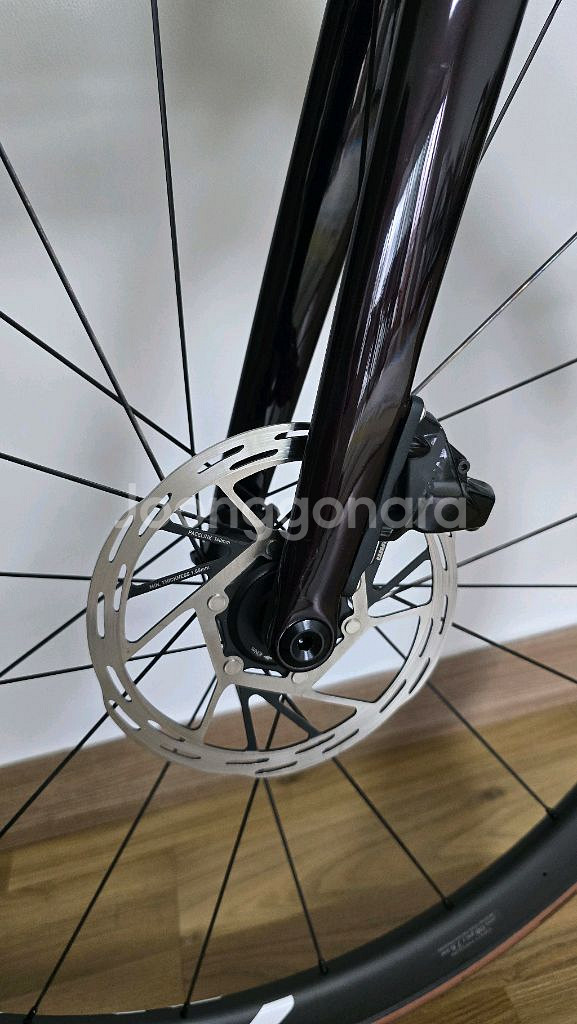 스페셜라이즈드 루베 콤프 스램 라이벌이탭 54--7