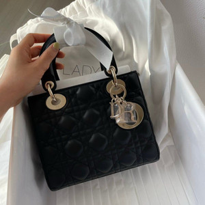 디올 레이디백 스몰