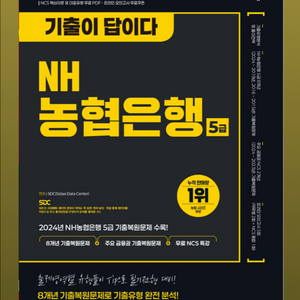 농협은행 5급 필기 기출문제 (시대에듀/기출이 답이다)