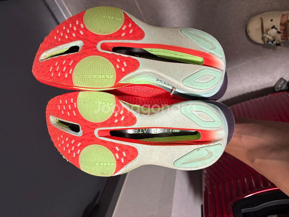 알파플라이3 265--1