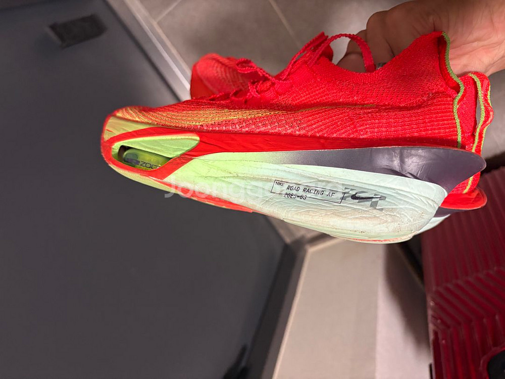 알파플라이3 265--2