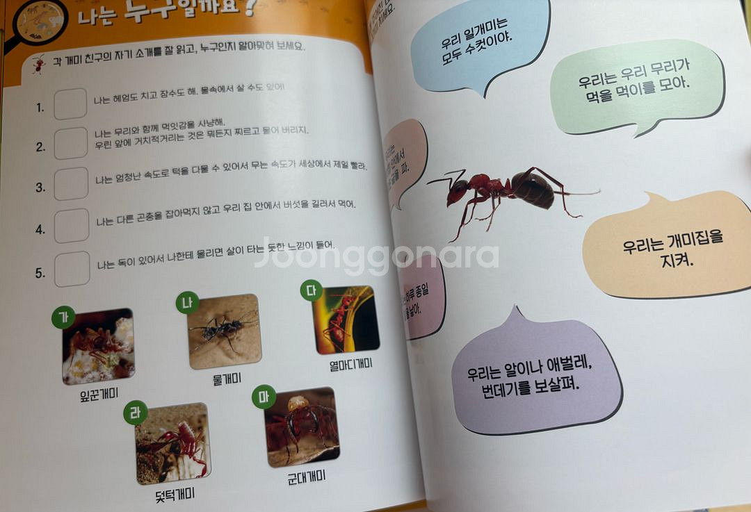 내셔널지오그래픽 자연관찰 60권 한글영어--3