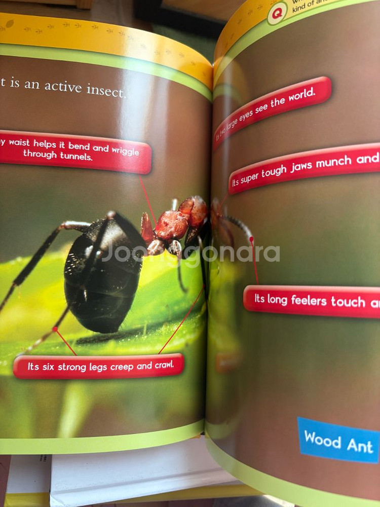 내셔널지오그래픽 자연관찰 60권 한글영어--2