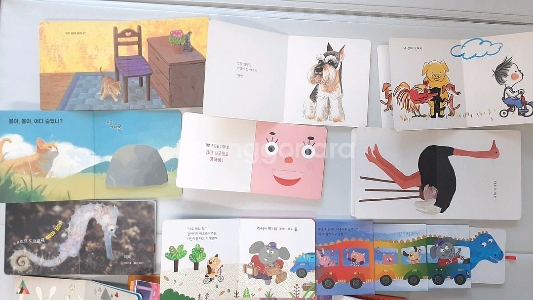 유아보드북 13권 일괄 반값택배비 포함 37000원--3