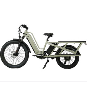 ams1000w 전기화물자전거