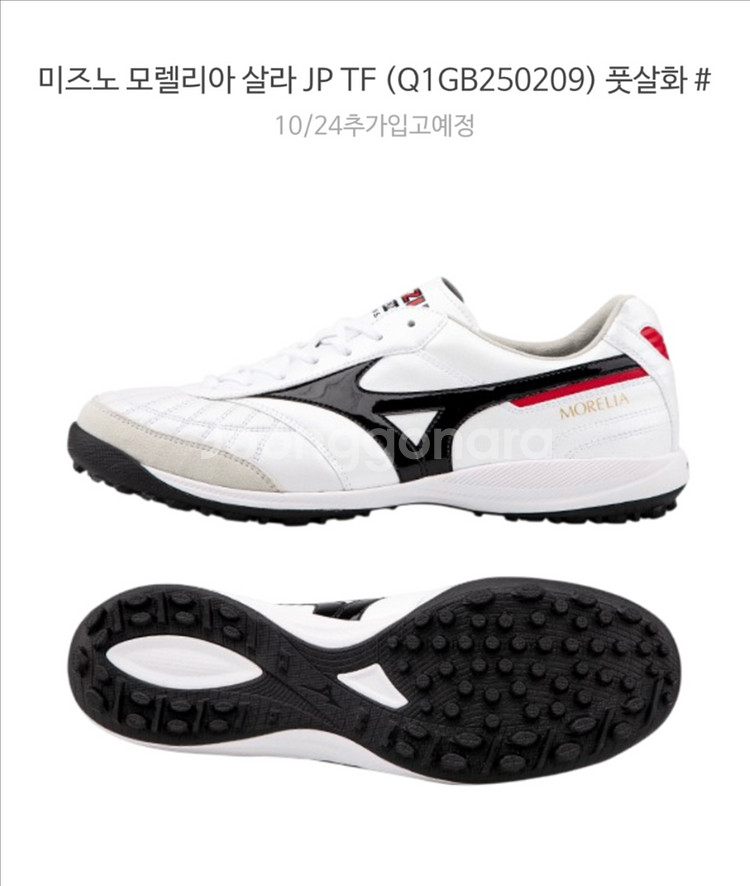 미즈노 풋살화 모렐리아 살라 재팬 JP TF--0