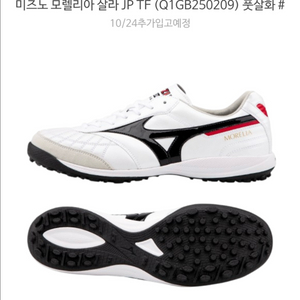 미즈노 풋살화 모렐리아 살라 재팬 JP TF