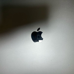 맥북 프로 2019년형 15인치 i9 16gb 1tb