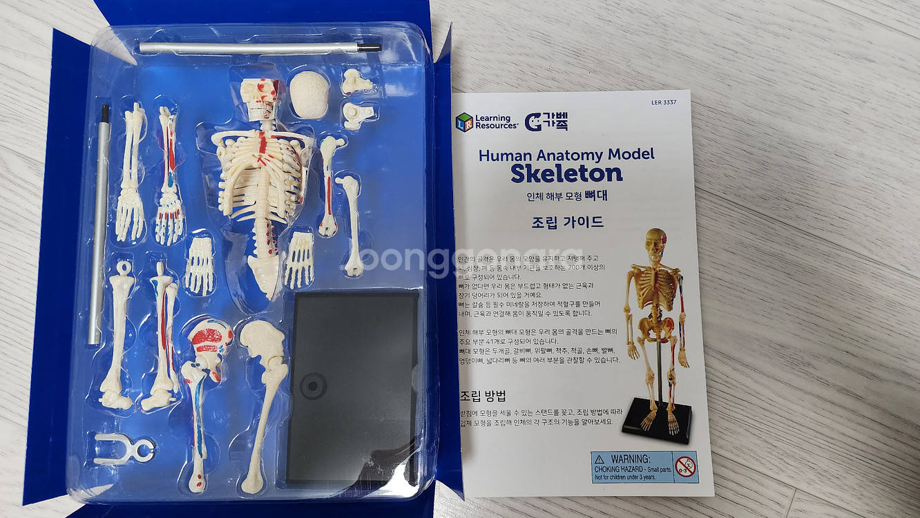 러닝리소스 인체모형--1