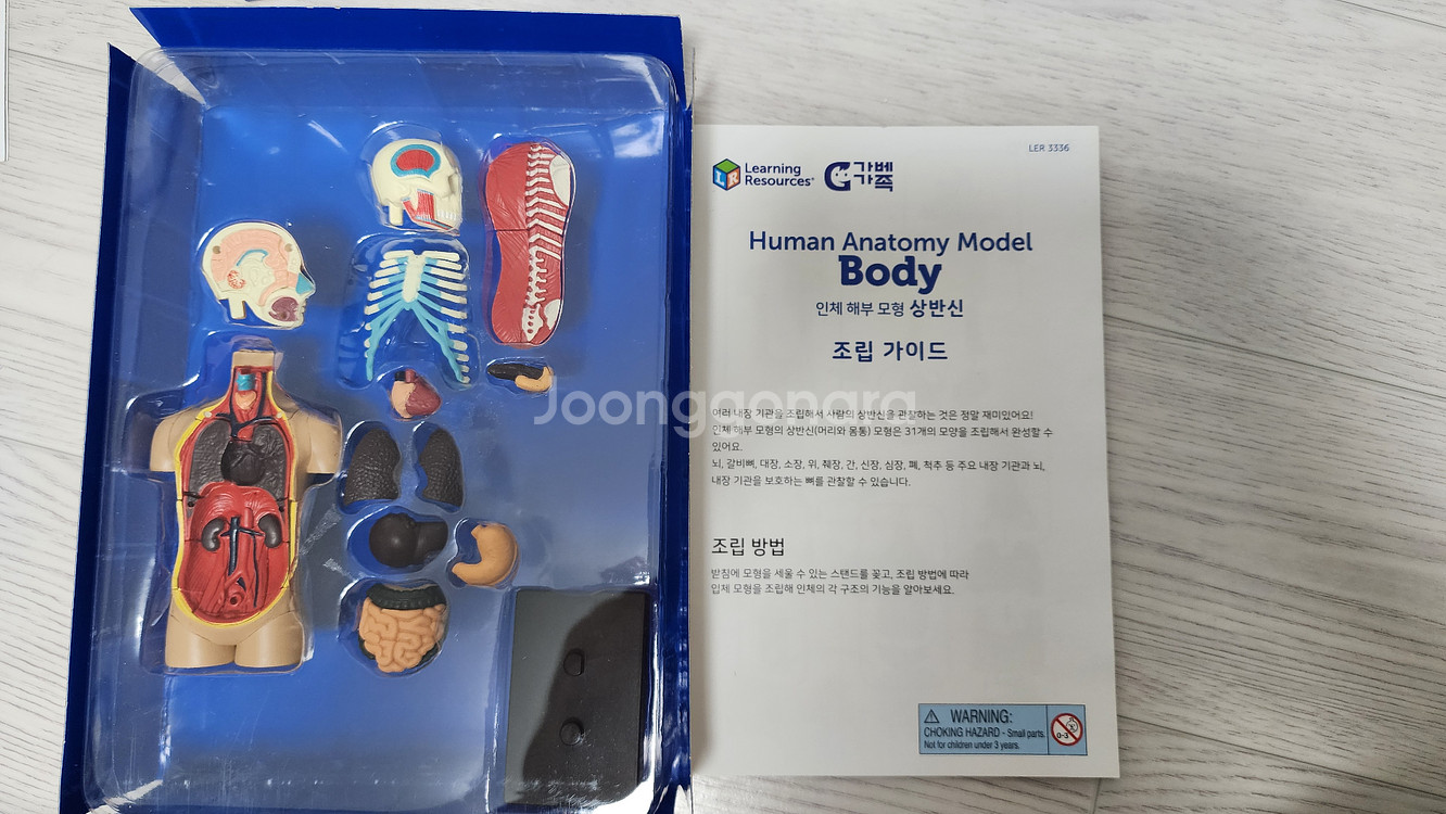 러닝리소스 인체모형--2
