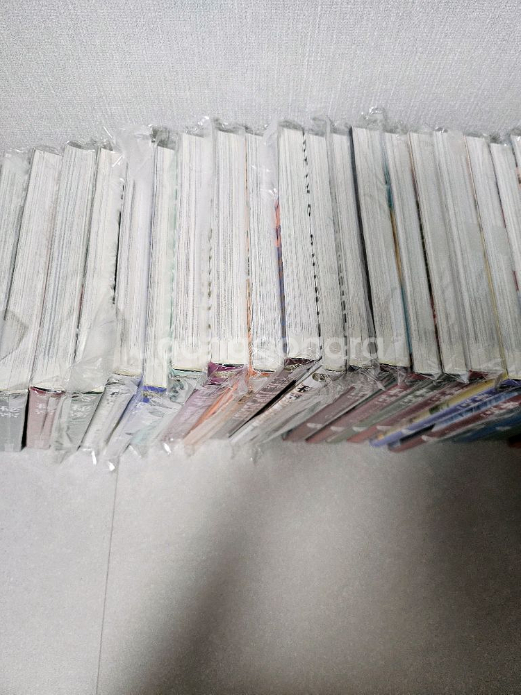 비밀 만화책1-12권,시즌01-11권 시미즈레이코--1